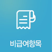 비급여 항목