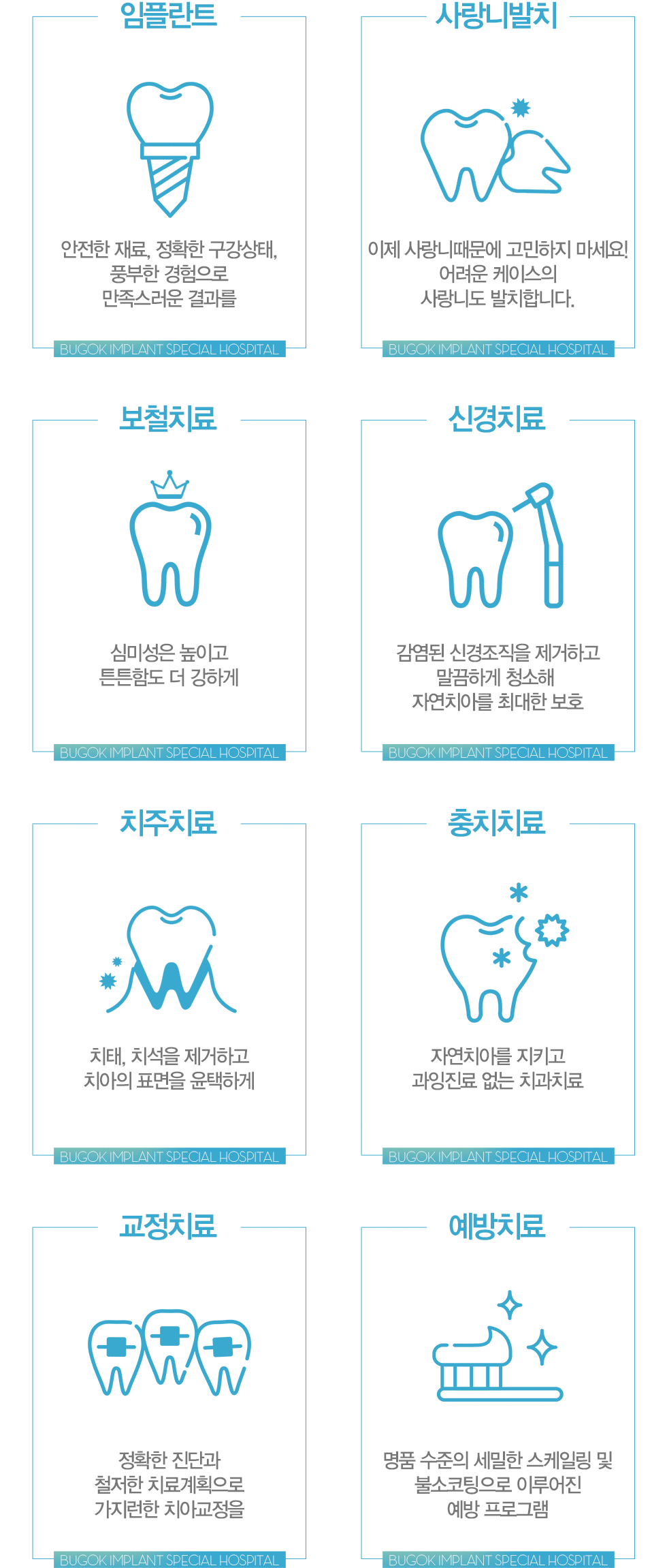 진료과목