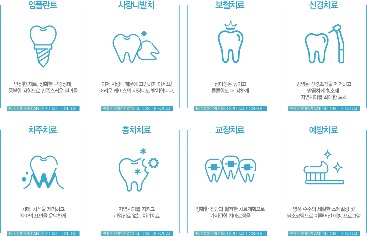 진료과목